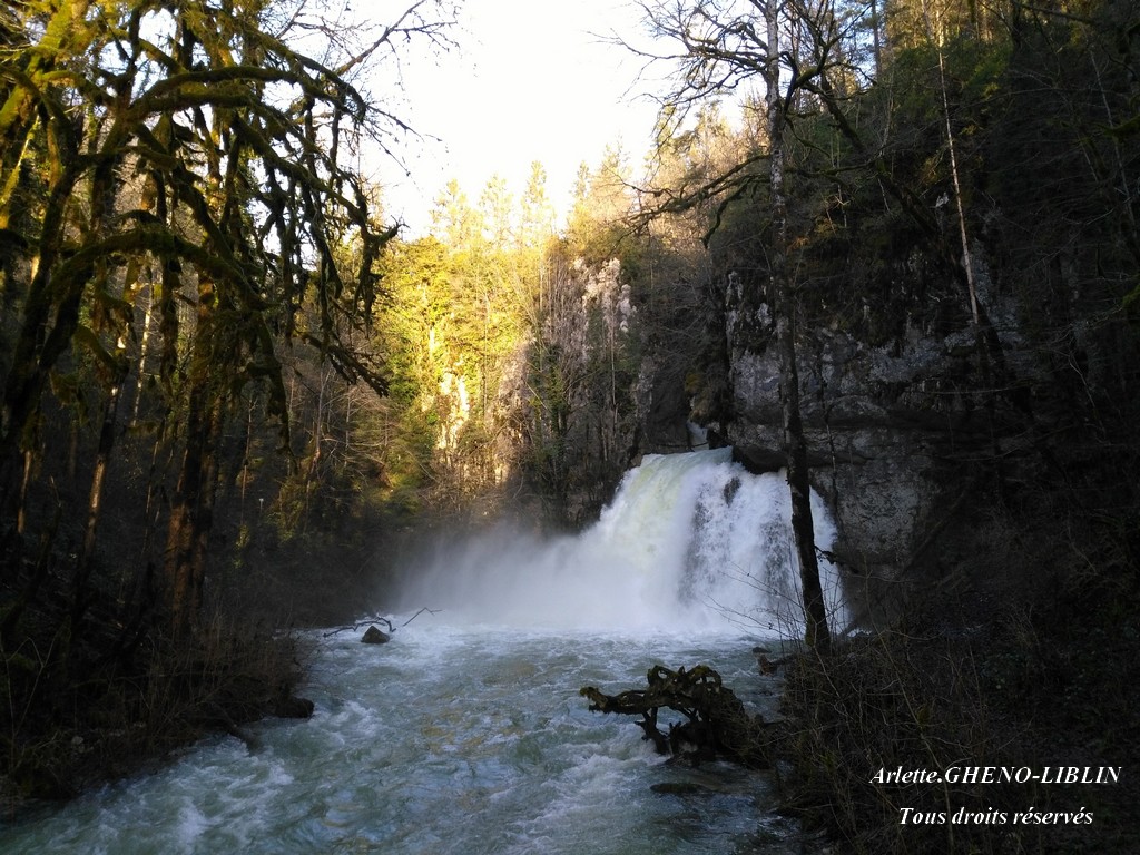 Cascade des Combes- Saint-Claude - 39 - JURA