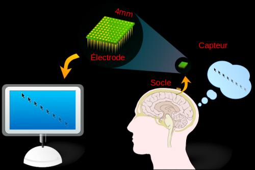 brain interface machine program