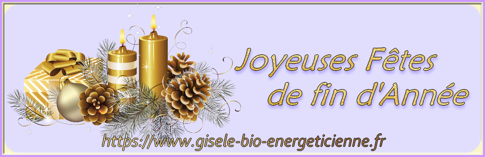 gisele-bio-energeticienne.fr/