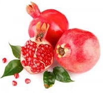 grenadier fruit.jpg