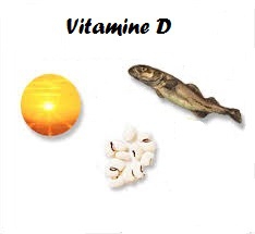 Vitamine D.jpg