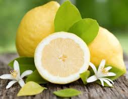 citronnier fruit.jpg