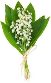 Muguet.jpg