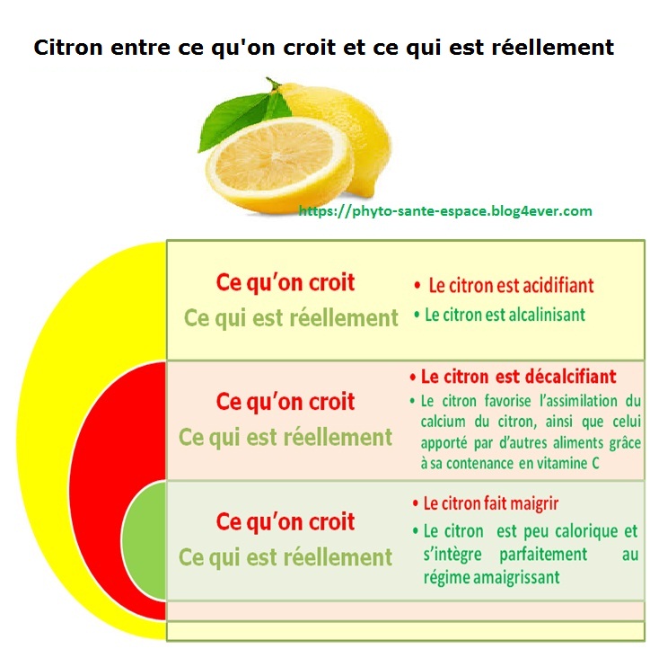 Connaissances nutritionnelles de citron.jpg