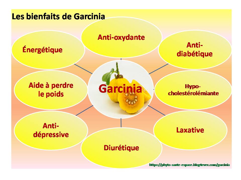 Les bienfaits de Garcinia