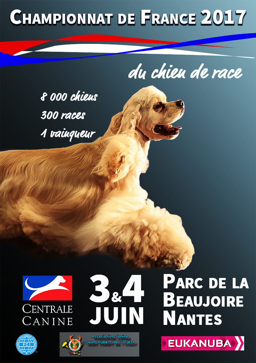 Affiche_VDEF.png