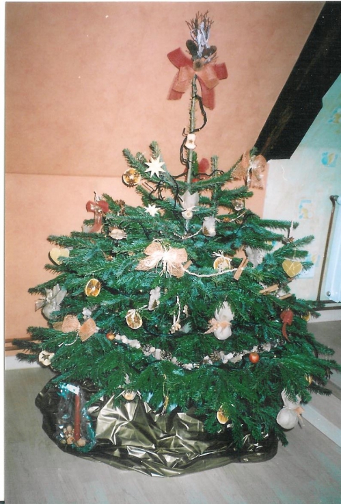 sapin entier 001.jpg