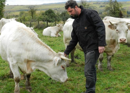 stephane-laugel-a-ses-pres-au-bruderbach-un-paturage-un-peu-a-l-ecart-du-village-et-de-tout-trai.jpg