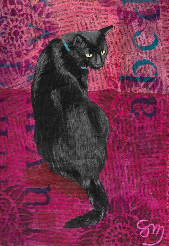 chat-noir-1.jpg
