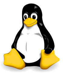 https://static.blog4ever.com/2012/03/678268/Linux.jpg