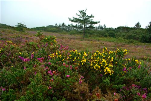 Sur la route de Fort Lalatte