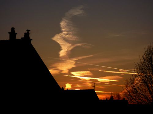 comme un oiseau blanc à l'aube