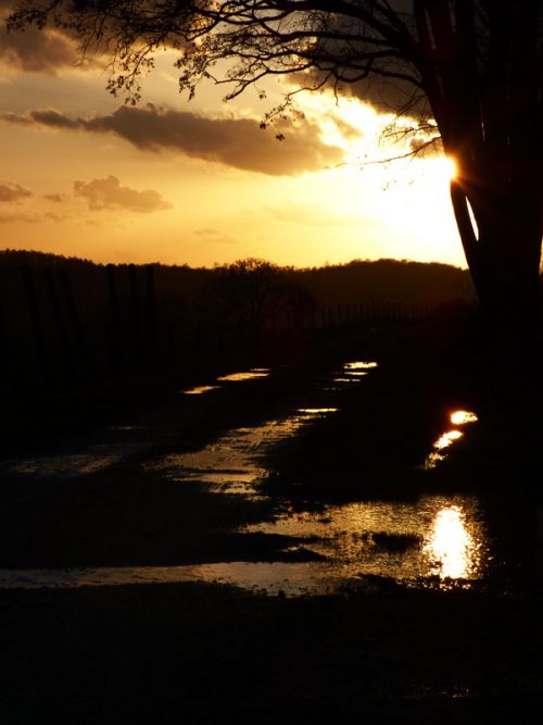 Coucher de soleil au printemps