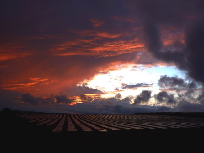 Coucher de soleil