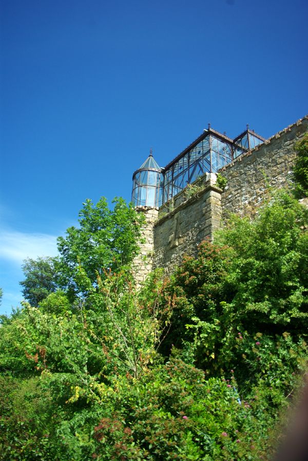 vue sur la verrière de la tour