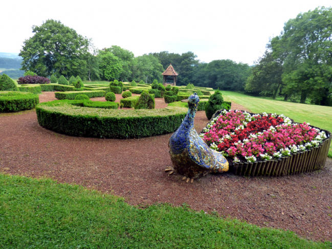 un paon dans le jardin du château
