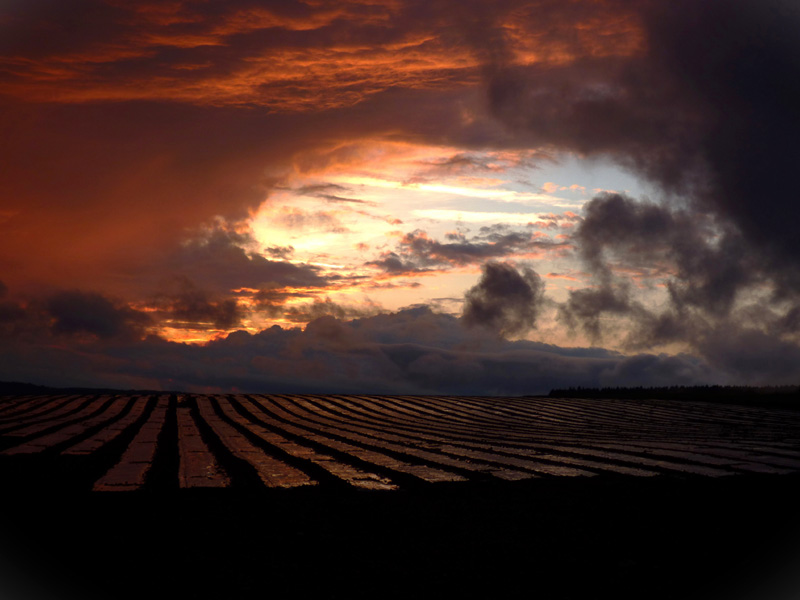 Coucher de soleil a Bosseval