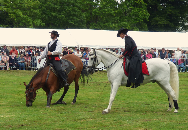 Fête du cheval à Hargnies