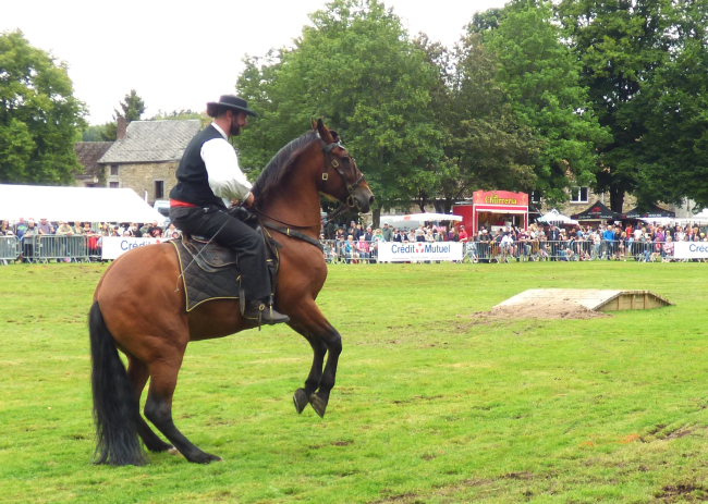 Fête du cheval à Hargnies