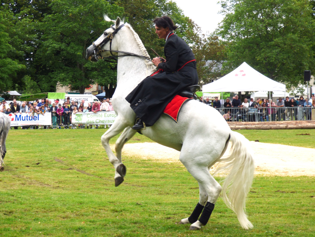 Fête du cheval à Hargnies