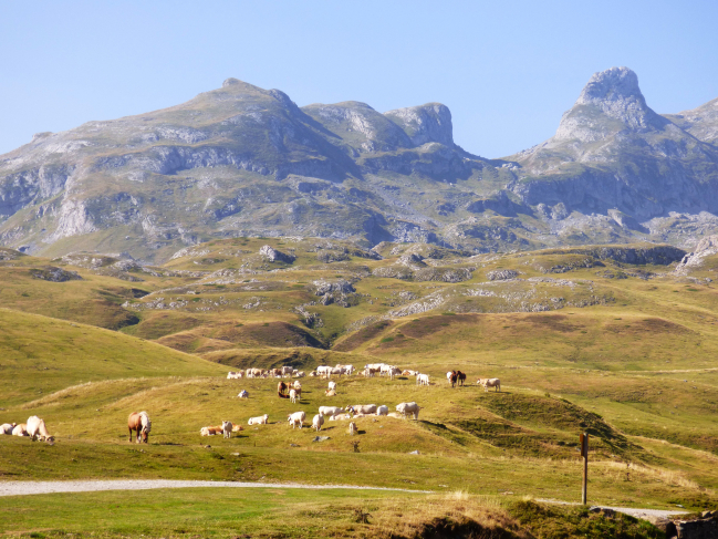 Col du Pourtalet dans les Pyrénées