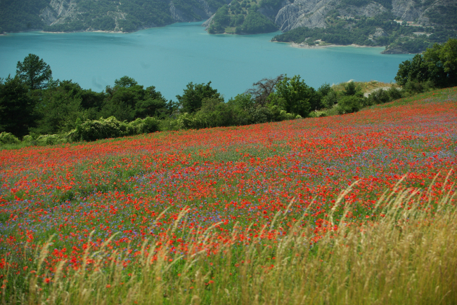 Vue sur le lac de Serre-Ponçon