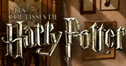 harry potter.PNG