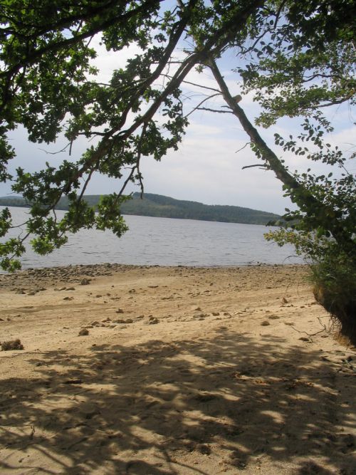 A l'ombre sur une des petites plages...du Lac !