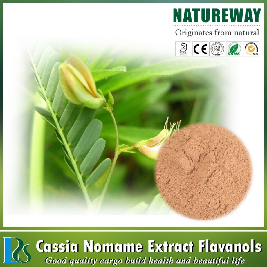 Cassia-Nomame-Extract-Powder-Nomame-Semaherb-P.jpg