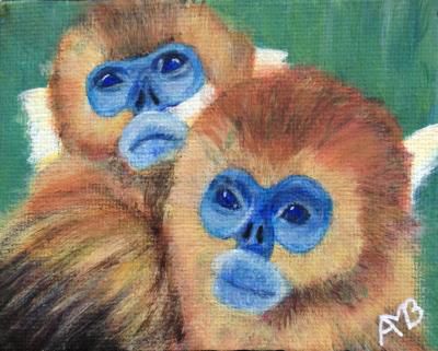 Petits singes à visages bleus