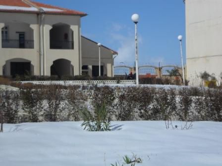 INSFP El Hidhab Sétif sous la neige (fév 2013)