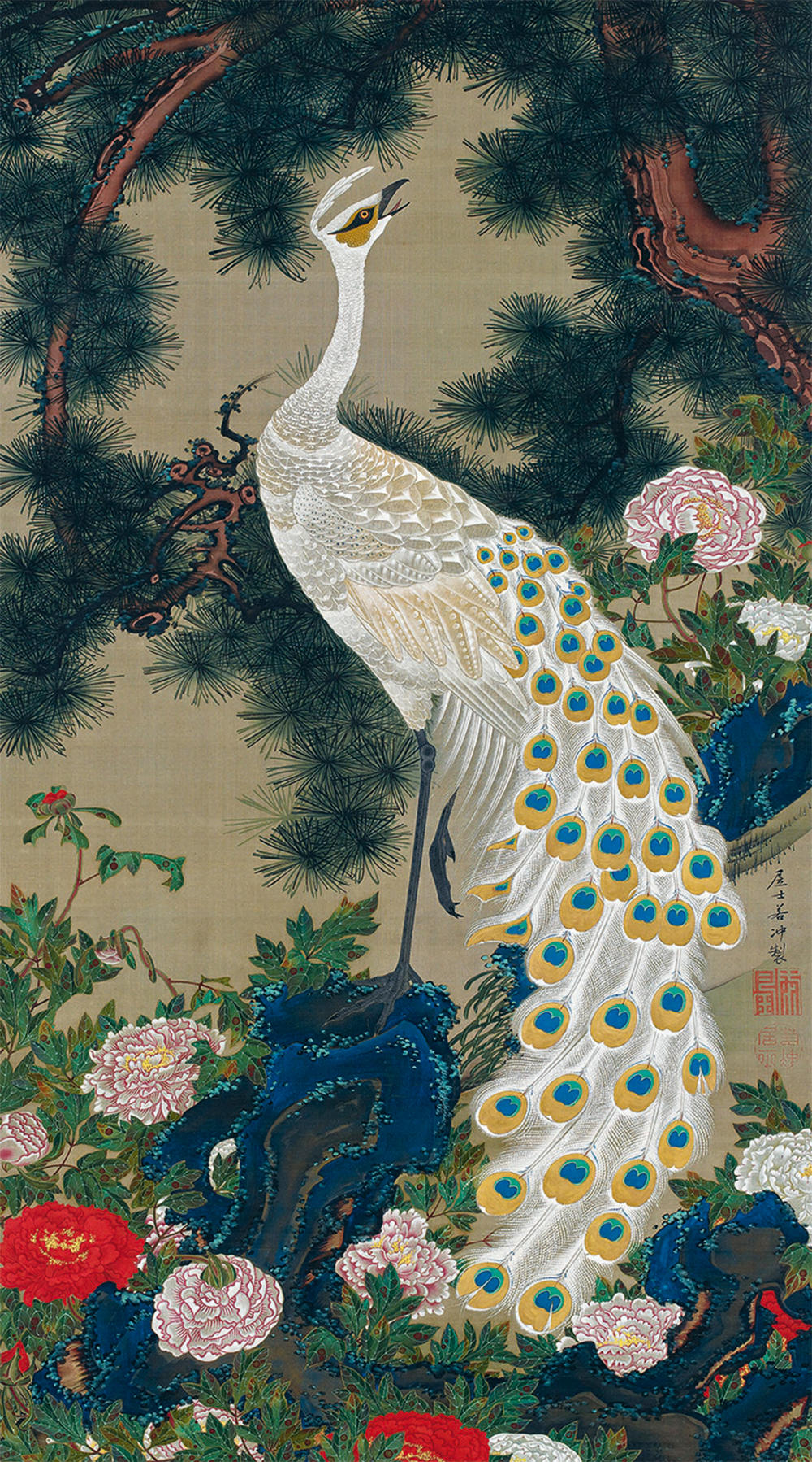 1_white-peacock-and-peonies-under-a-pine