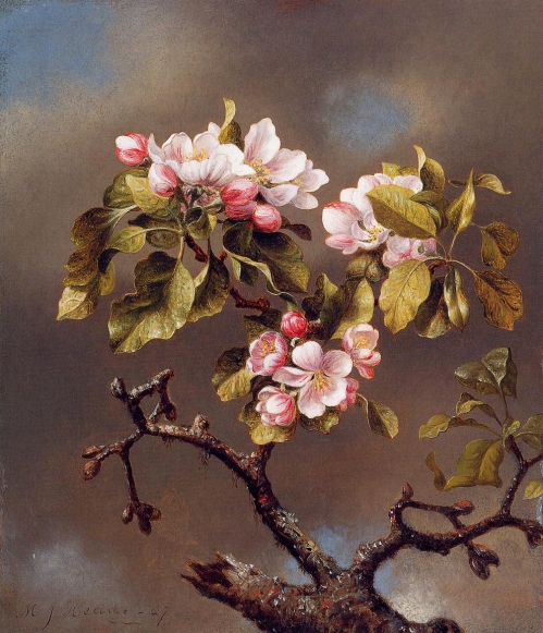 Branch_of_Apple_Blossoms_Against_a_Cloudy_Sky.jpg