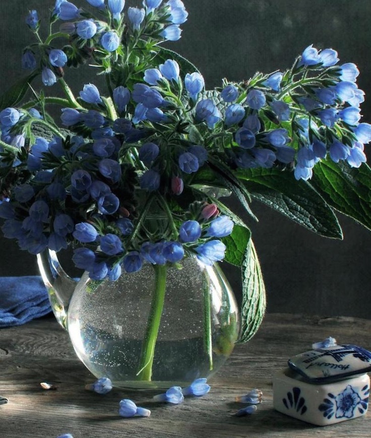 vase lumiere fleurs bleues 2.jpg