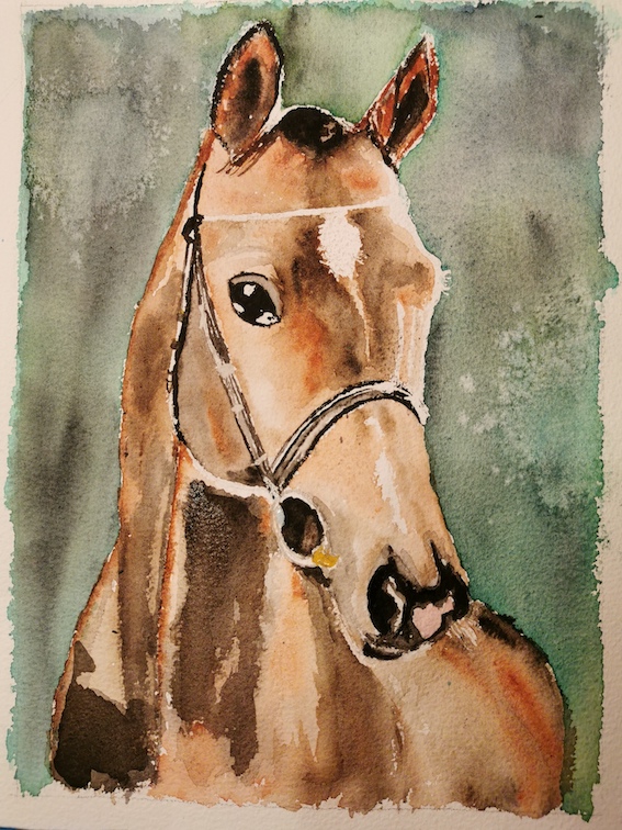 cheval mamilou