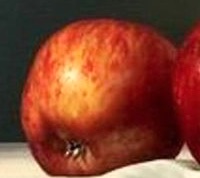 pomme gauche