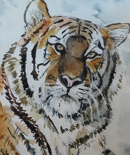 portrait tigre mm