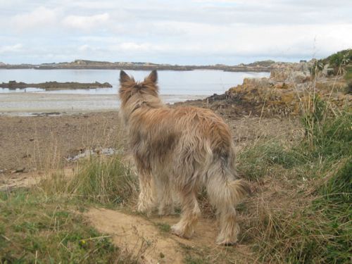 09/2012 Devant l'île de Bréhat