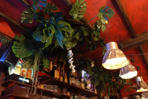 Plafond de plantes artificielles dans un bar