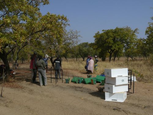 Matériels pour l'apiculture