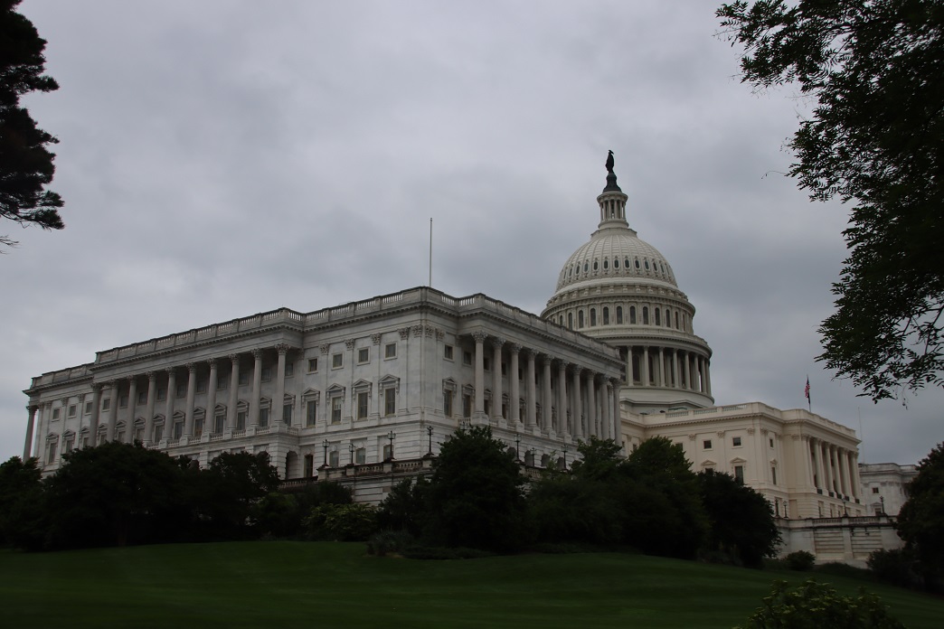 Washington DC (18) US Capitol.JPG