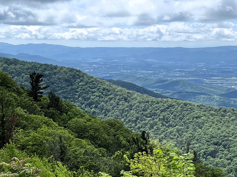 Virginie (29) Les Appalaches Shenandoah Parc.JPG