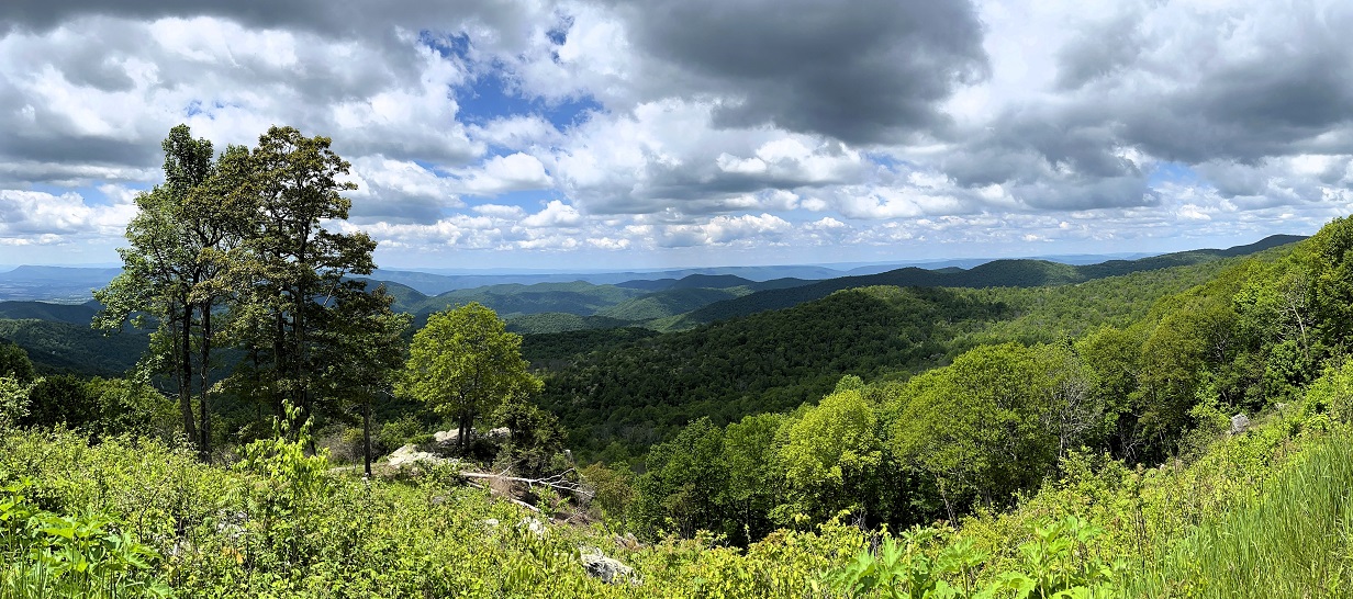 Virginie (58) Les Appalaches Shenandoah Parc.JPG