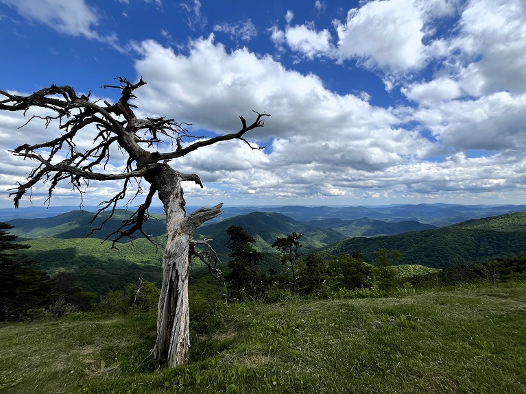 Caroline . du N (13) Blue Ridge Parkway.JPG