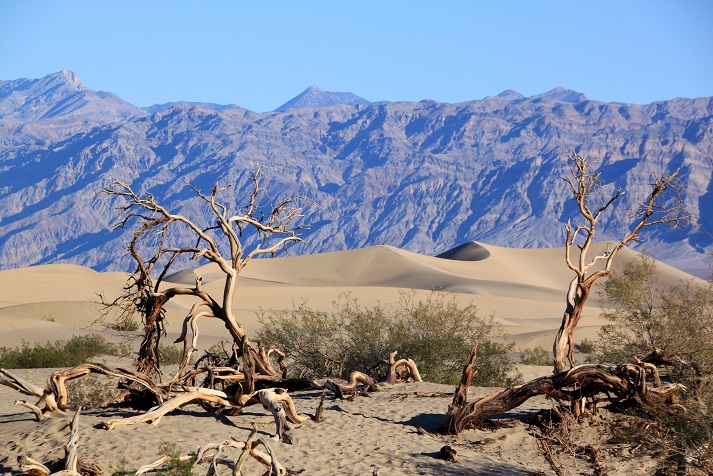 Californie Death Valley Sand Dunes (2)B.jpg