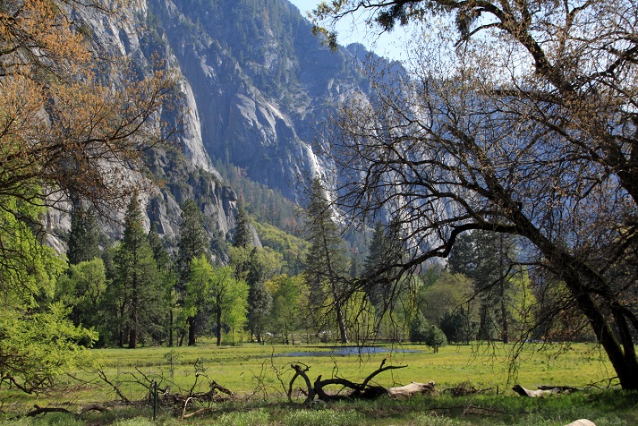 Californie Yosemite (21) BL.jpg
