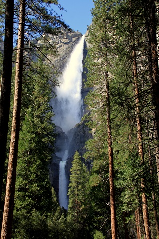 Californie Yosemite (20) Yosimite  Uper et Lower Falls BL.jpg