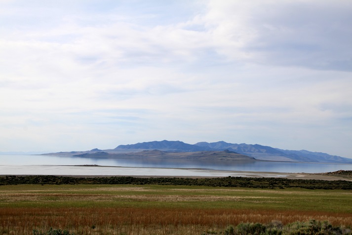 Utah Antelope Island (18)BB.jpg