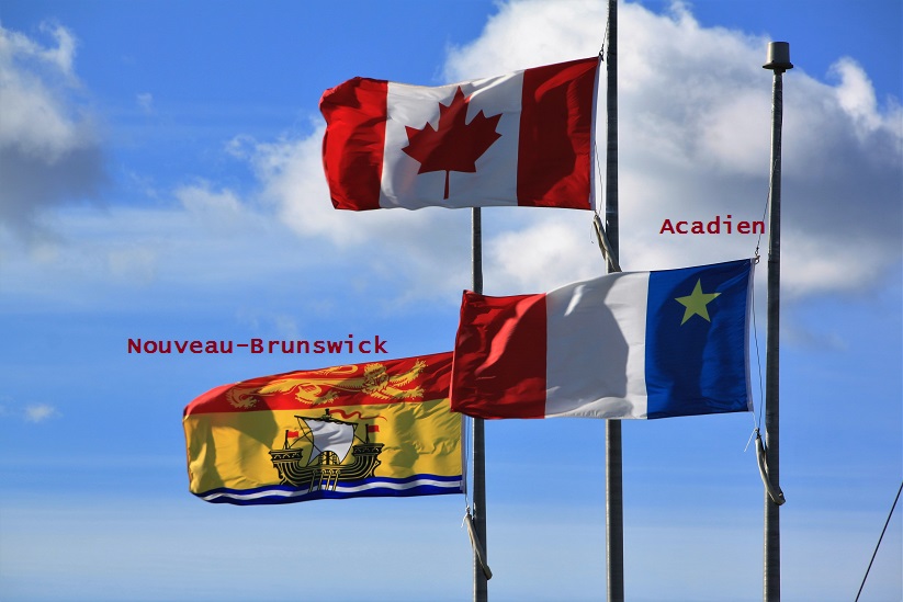 NB Acadie (8) - Copie.jpg