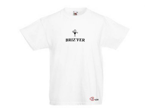 BRIZ'FER - 15 €